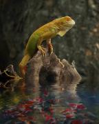 Reptiles-And-Insects-By-Yan-Hidayat30