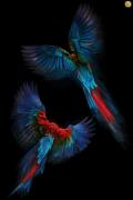 25-66baa5dfa5f9e700