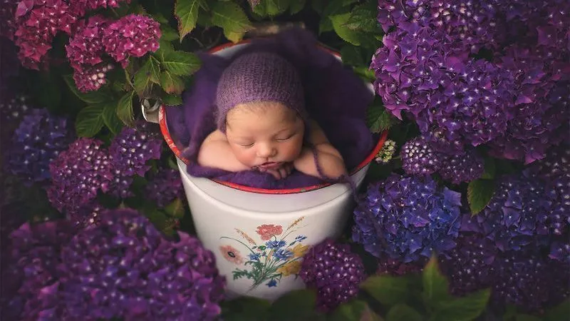 خلاقیت عکاسی ایرلندی در عکاسی کردن از نوزاد