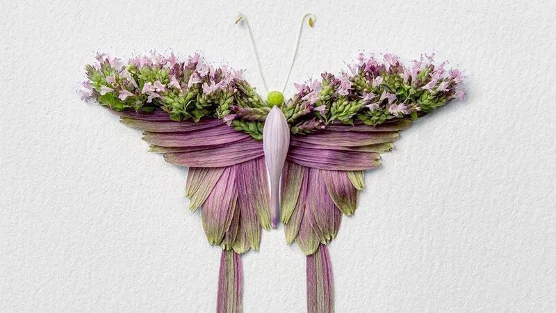 ساخت حشرات با استفاده از گلبرگهای گل توس هنرمند دو رگه کانادایی- ژاپنی