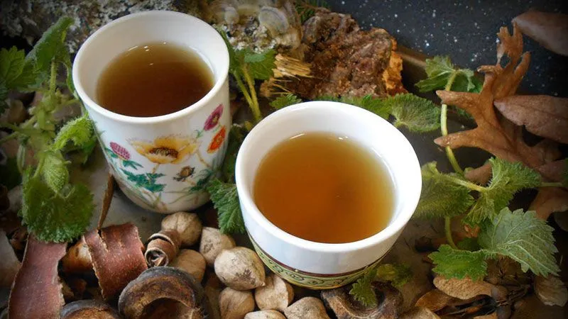 خواص درمانی گزنه